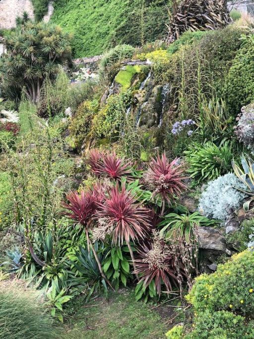 Вилла *Stunning* The Botanist Rest Ventnor Iow Экстерьер фото
